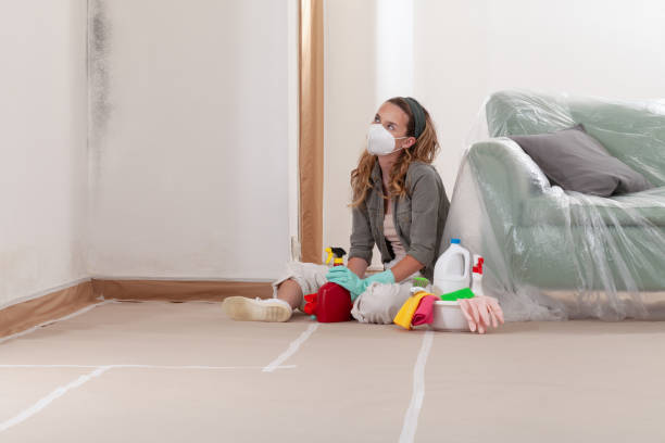 Reliable Commercial Mold Remediation contractor in Mesa, AZ by WQB Mold Removal